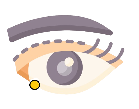 image14-removebg-preview